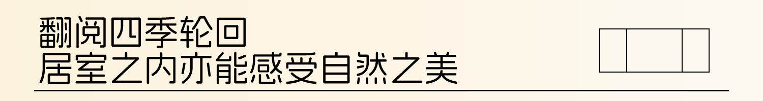 08.png